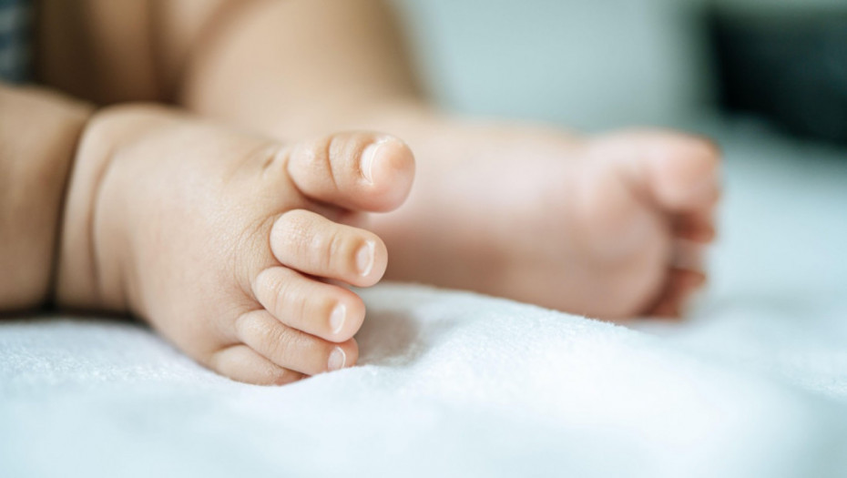 Novi Sad poklanja 300.000 dinara rođenim bebama