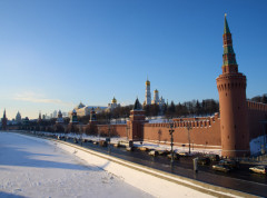 Firma bliska Kremlju razvija bio-dronove ugradnjom čipa u mozak ptica