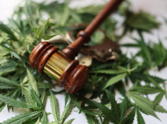 Zaplenjena 21 tona marihuane od kompanije bliske SDSM i Zoranu Zaevu