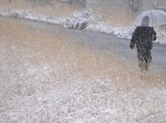 Na jugozapadu Francuske na snazi crveni meteo-alarm zbog opasnosti od poplava