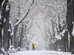 U Rumuniji zbog snežne mećave zatvoreni autoputevi i pruge, otkazani letovi