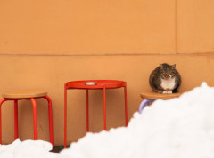 Sneg izazvao haos u 16 okruga, mnogi potrošači bez struje