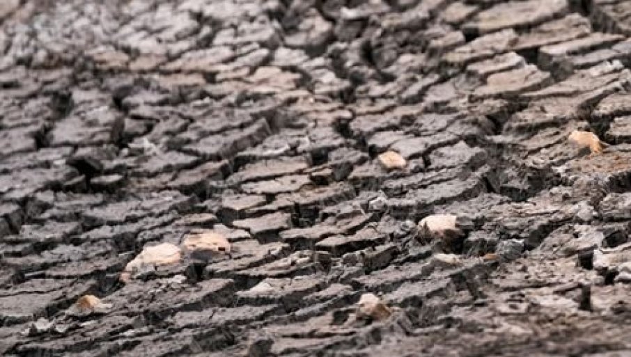 Evo šta je „nulti dan“ i kako ga izbeći