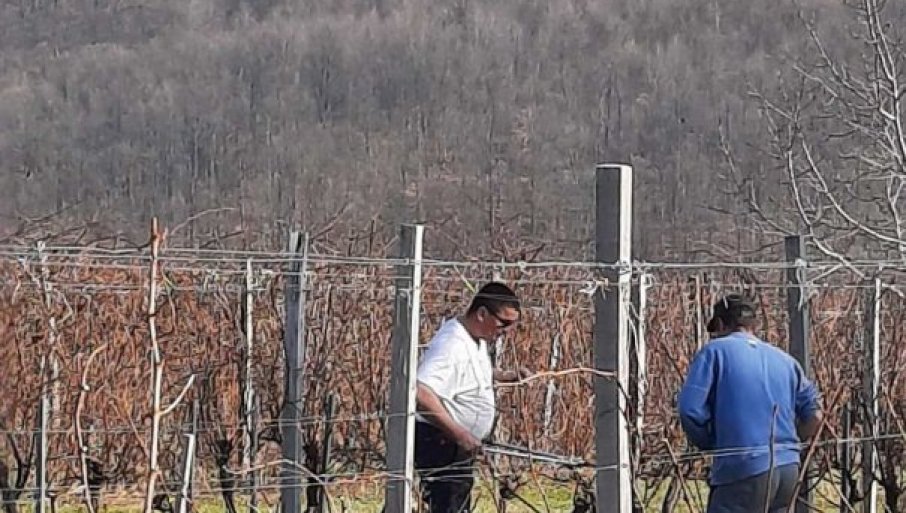 Evo koji su natraženiji mastori u Srbiji