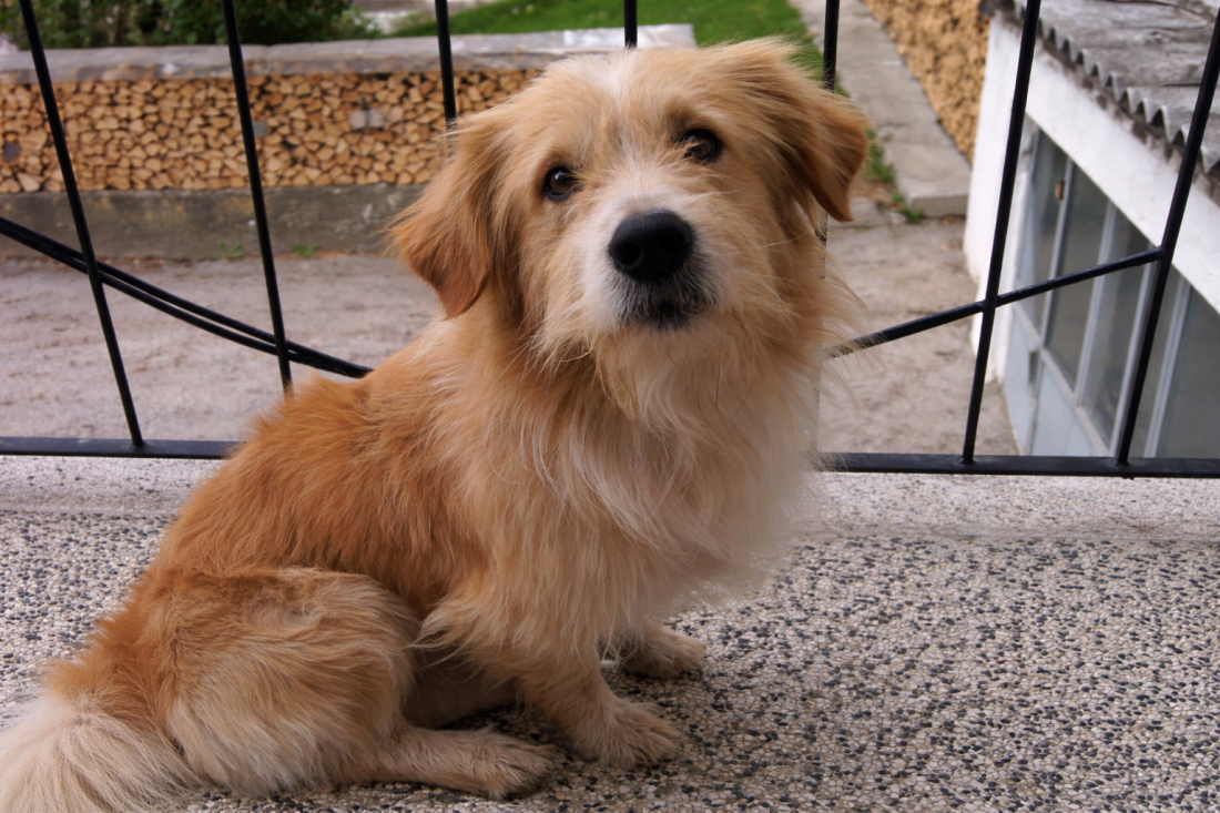 Svima je pružao ljubav