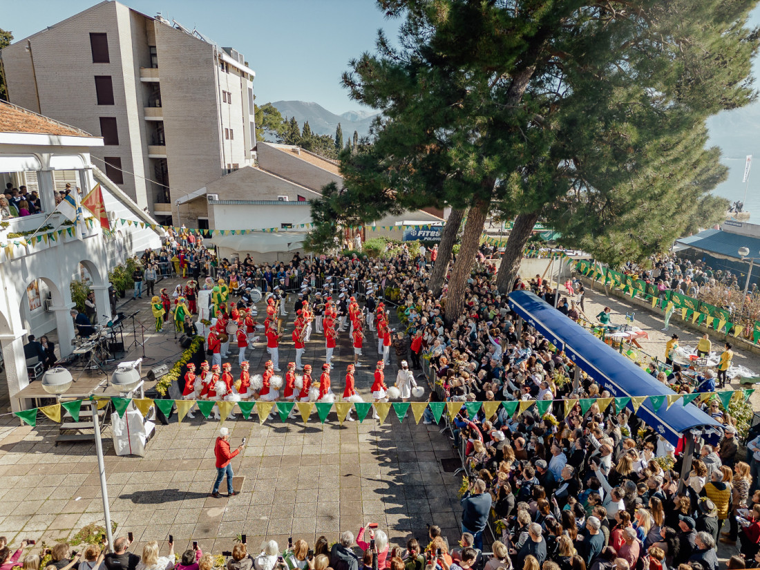 Herceg Novi poziva na 57. Praznik mimoze