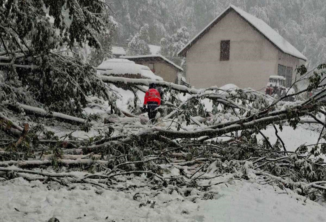 Stigla struja u skoro sve domove u Bajinoj Bašti
