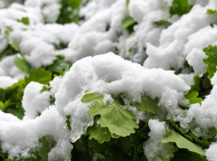 U nevremenu stradalo 40 osnovnih i srednjih škola, kao i 24 vrtića