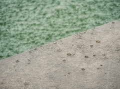 Snažno nevreme sa gradom pogodilo Mostar, Neum i Međugorje