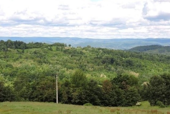 Novi Grad: Ako otvore rudnik uglja, stoka će pasti ugljenu prašinu
