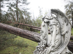 Od početka jakog nevremena vatrogasci u Zagrebu imali više od 800 intervencija