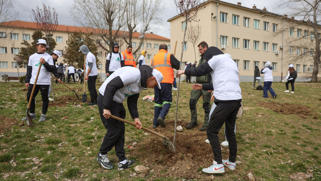Sadnja 2000 sadnica crnog bagrema u Boru i Majdanpeku