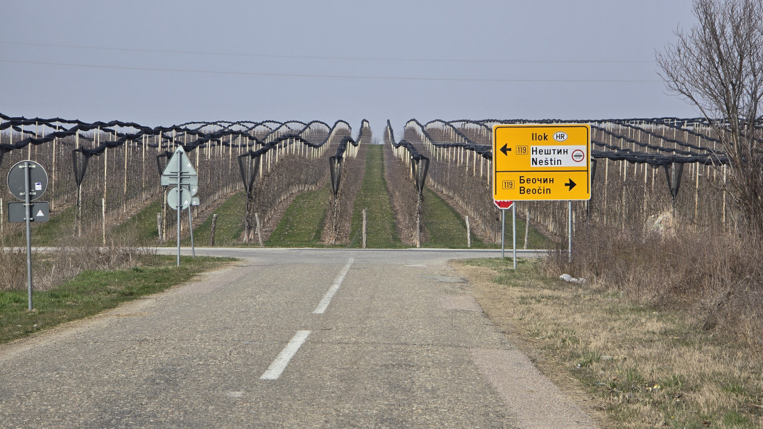 Most Bačka Palanka, Srem i Bačka