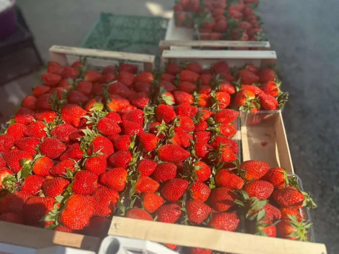 Cena iznenadila, ukus oduševio