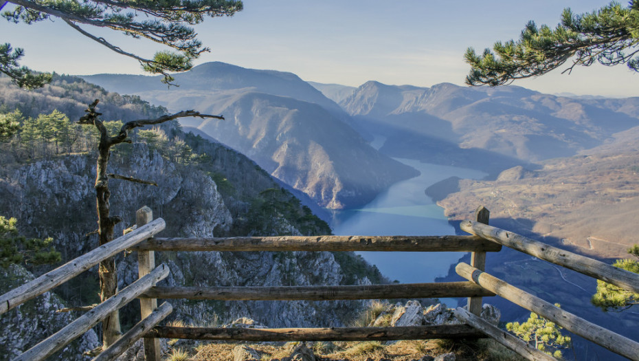 Šume stare dva veka čekaju UNESCO