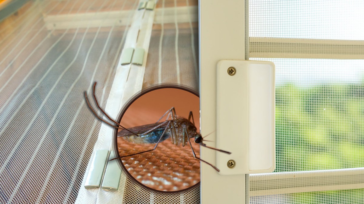 Beograđani se već žale na komarce: Evo da li nam preti najezda