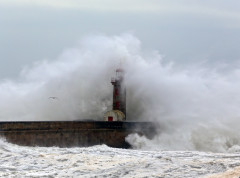 Zbog orkanske bure zatvoreni putevi i trajektne linije na hrvatskom primorju