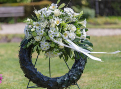 Murino ostaje simbol zajedništva i istrajnosti u negovanju istine i pravde