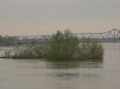 Na reci Savi kod Šapca uvedena je redovna mera odbrane od poplava