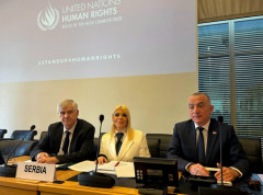 Delegacija Srbije predstavila izveštaj o ukidanju rasne diskriminacije u Ženevi