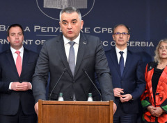 Minić:Dalje zadržavanje Mladića u Hagu kršenje elementarnih ljudskih normi