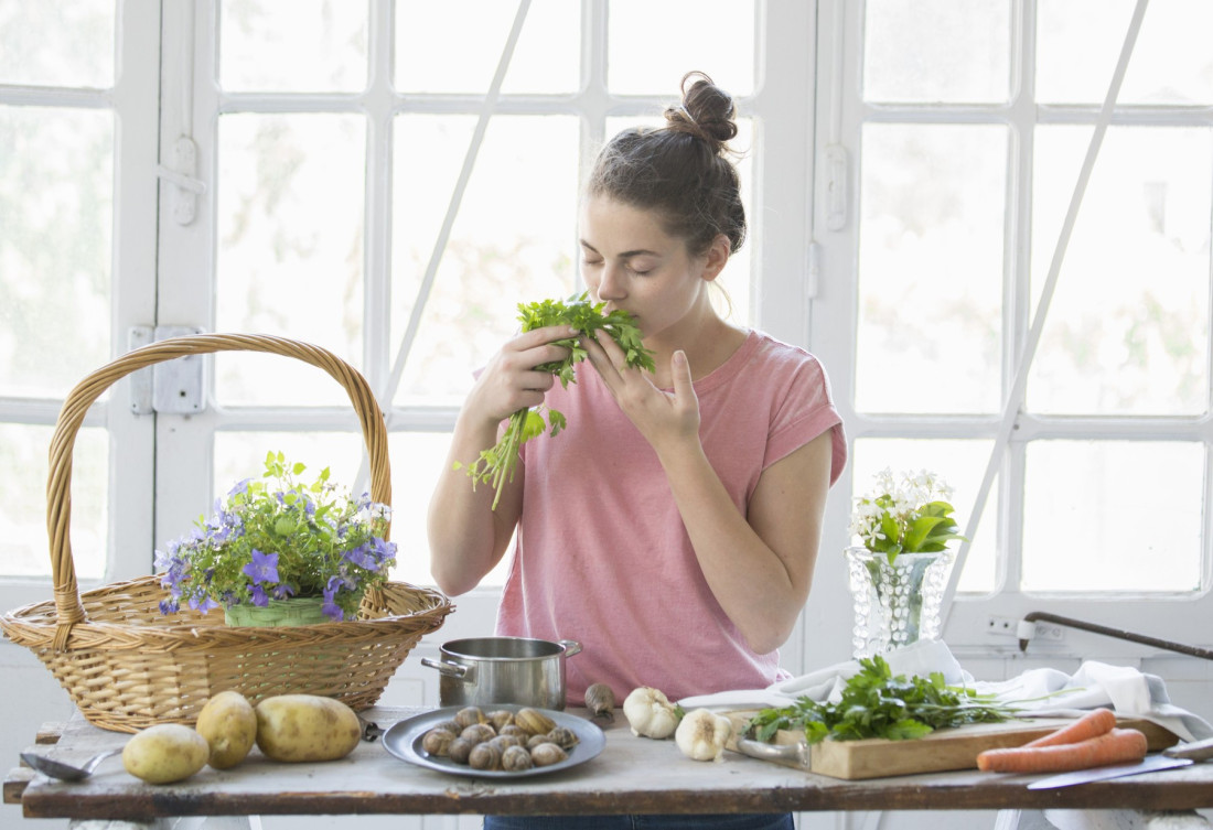 Zovu ga prirodni antibiotik: Lekovita biljka koja čisti organizam i vraća energiju