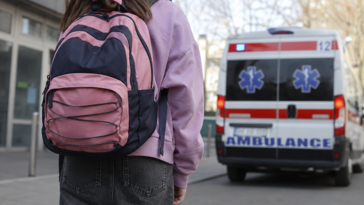 Devojčica (11) koju je ubila struja u porodičnom stanu na Karaburmi bila je muzički talenat
