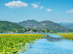 UNESCO proglasio Nacionalni park Skadarsko jezero novim rezervatom biosfere