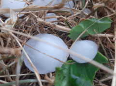 Olujnio nevreme donelo obilan grad na području Nevesinja