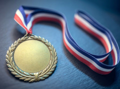 Zlato i bronza za učenike iz Srbije na Međunarodnoj olimpijadi iz sajber bezbednosti