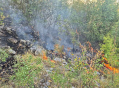 Lokalizovan požar u Popovom polju kod Trebinja