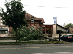 Nevreme u Hrvatskoj rušilo stabla, oštećen krov sportske dvorane u Slavoniji