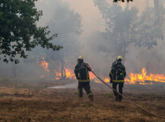 Više od 100.000 ljudi evakuisano zbog velikih požara u Španiji i Francuskoj