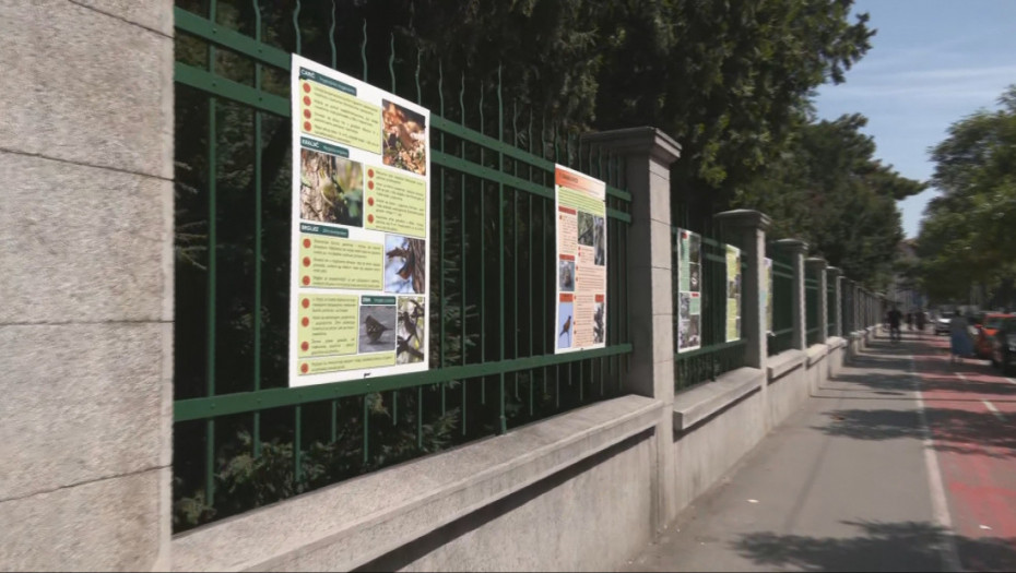 Kakav životinjski svet krije Botanička bašta „Jevremovac“