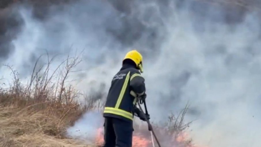Izbio požar u specijalnom rezervatu prirode Deliblatska peščara