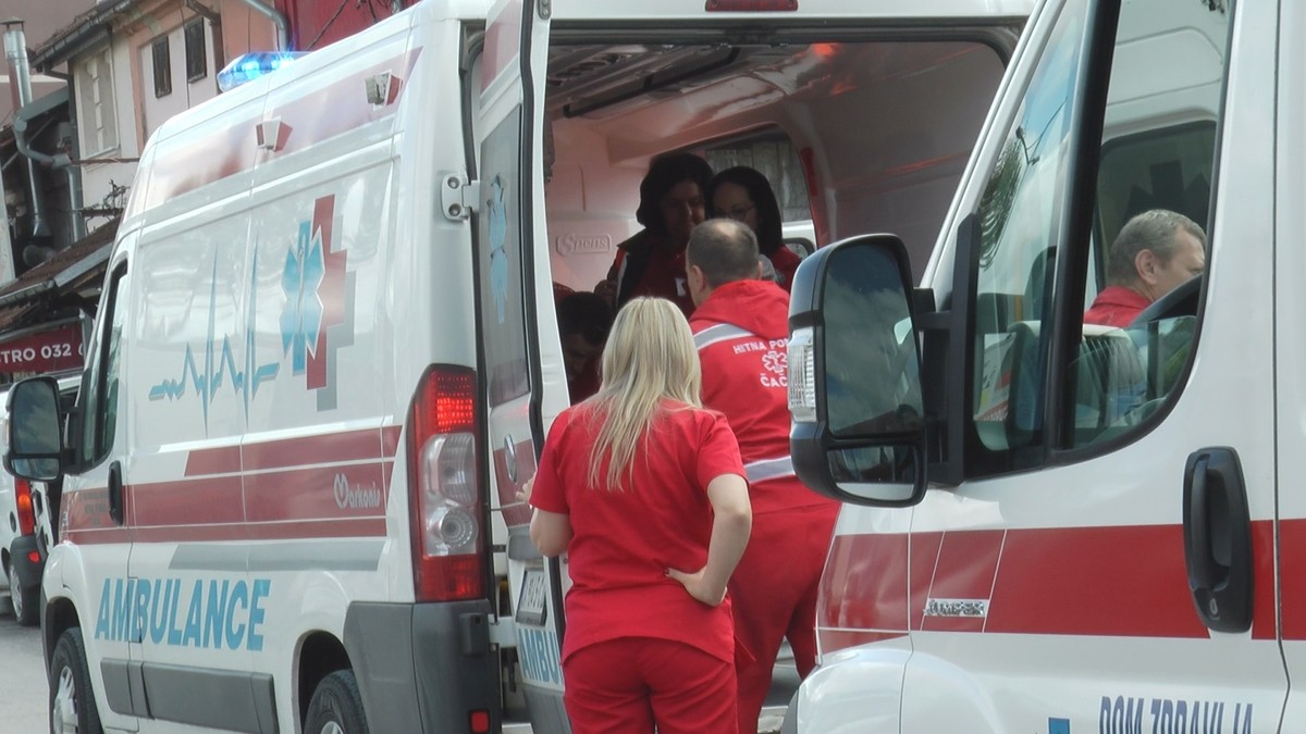 Tragedija u Beogradu: Roj osa izubadao mladića (39), umro u Domu zdravlja