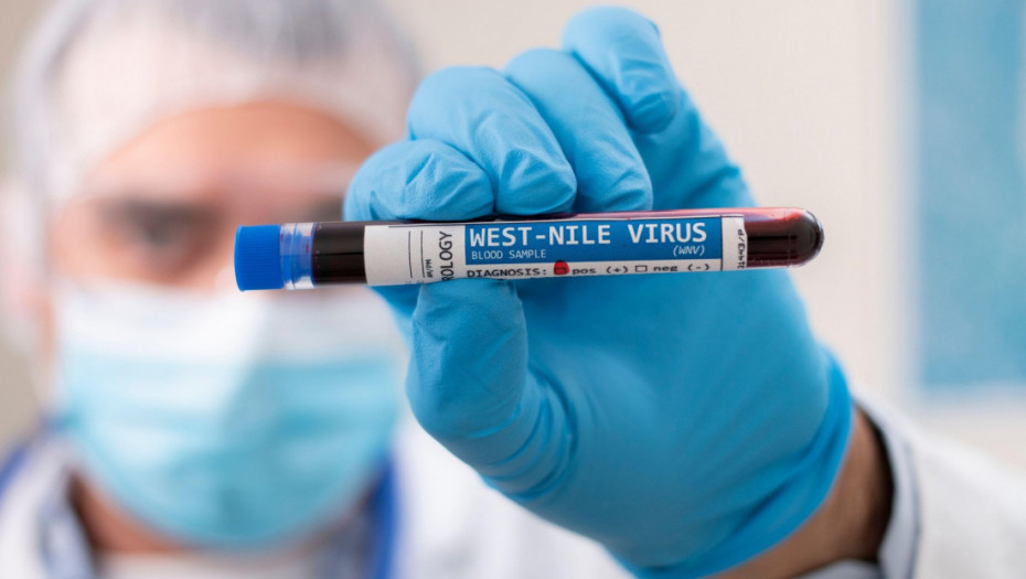Virus Zapadnog Nila u Srbiji: Prva dva slučaja potvrđena