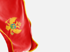 Inicijativa Demokratske Crne Gore za spomenik mitropolitu Amfilohiju