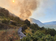 Zahtevnom akcijom vatrogasaca požar stavljen pod kontrolu
