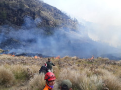 Indonezija zatvara sve pristupe planini Bromo zbog širenja požara