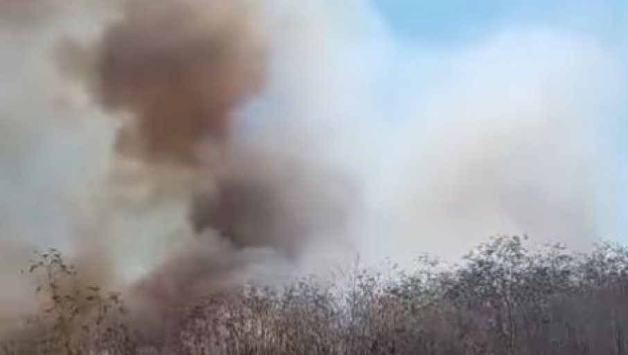 Vatra se ubrzano širi zbog vetra, u toku borba vatrogasaca (VIDEO)