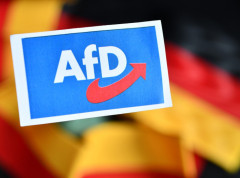 DW: Izbori u Saksoniji-Anhaltu, AfD pred istorijskom šansom za vlast