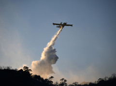 Izbio požar preko puta grčkog ostrva Evija, gase ga avioni i helikopteri